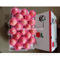 /msite/products/detail/productid/54855486/id/542998.html